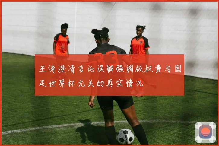 王涛澄清言论误解强调版权费与国足世界杯无关的真实情况