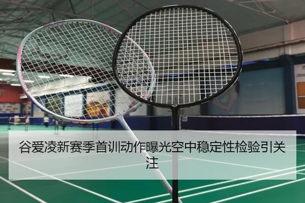 谷爱凌新赛季首训动作曝光空中稳定性检验引关注 | kaiyun